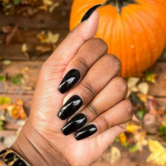 Black Licorice #447
