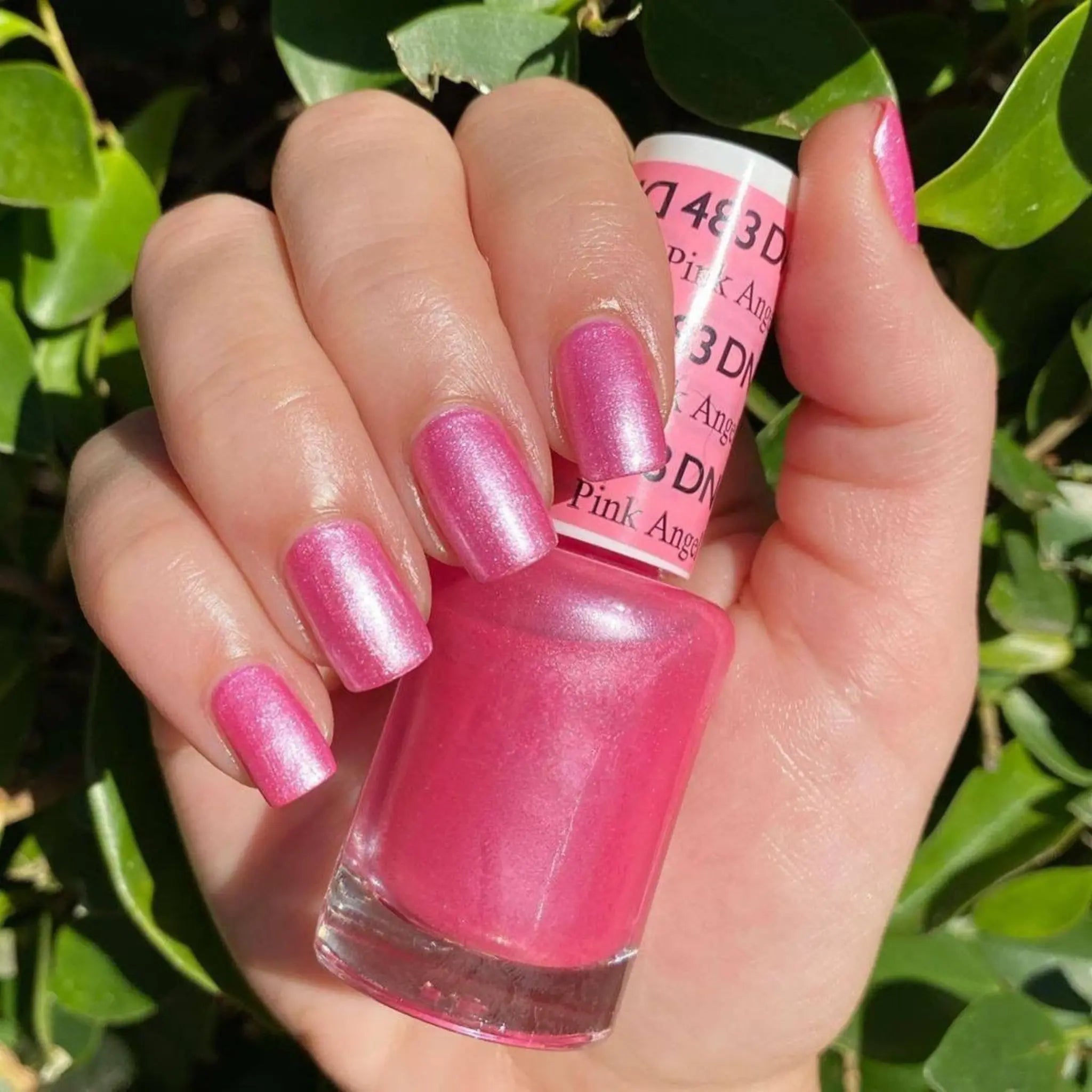 Pink Angel #483