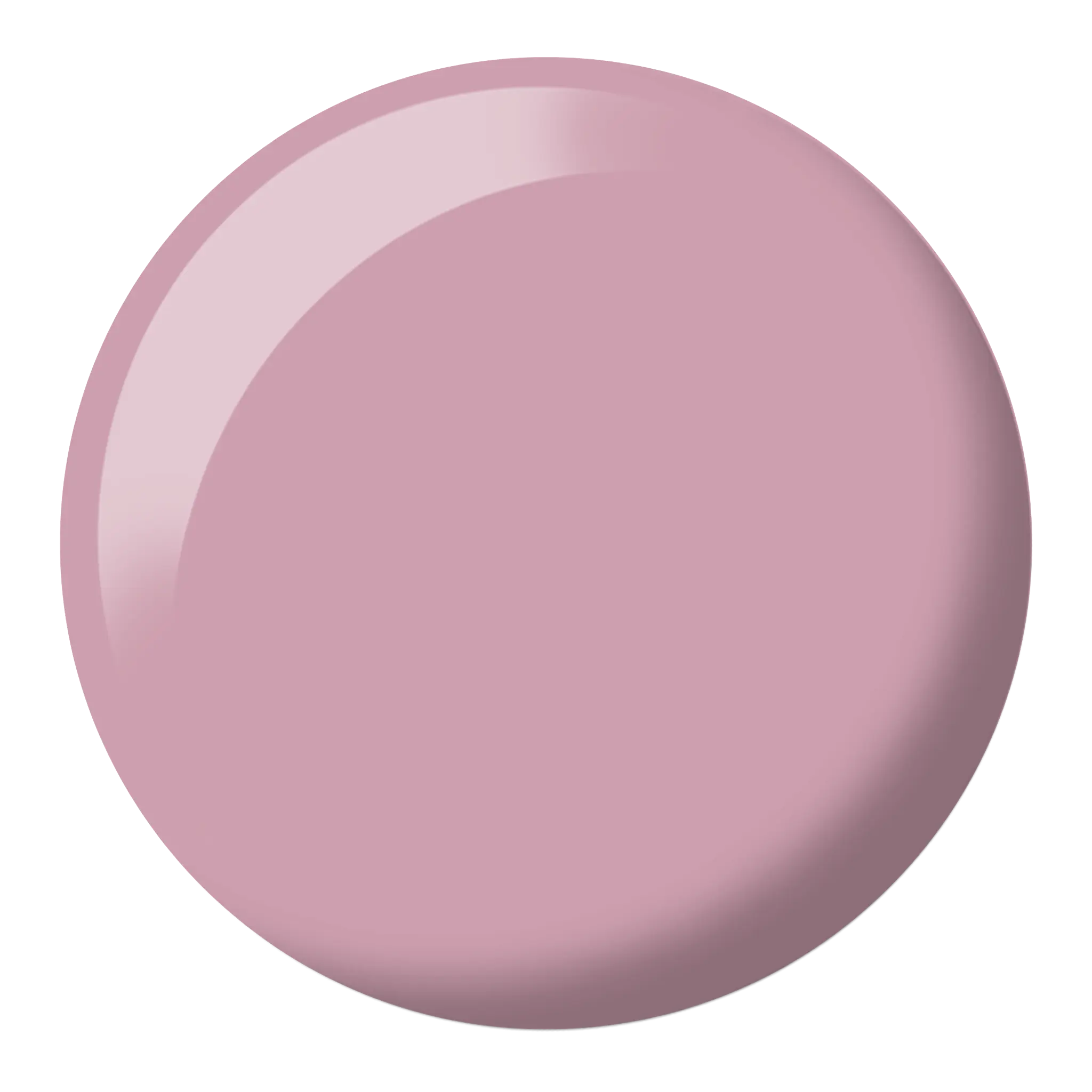 Hazelnut #607